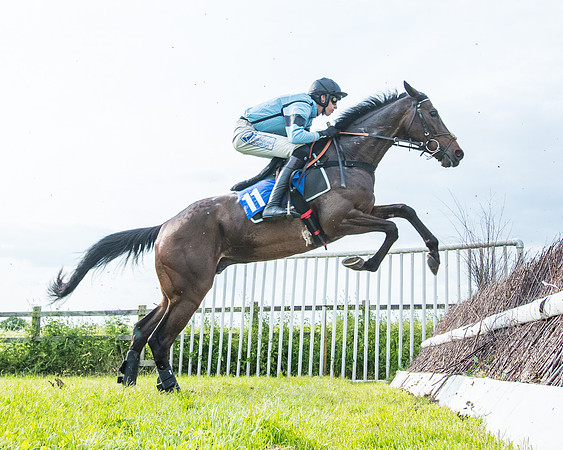 Race 6 - Open Maiden (163 of 346)