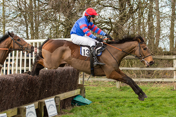 Race 2 - Young Horse Maiden (81 of 110)-2.jpg