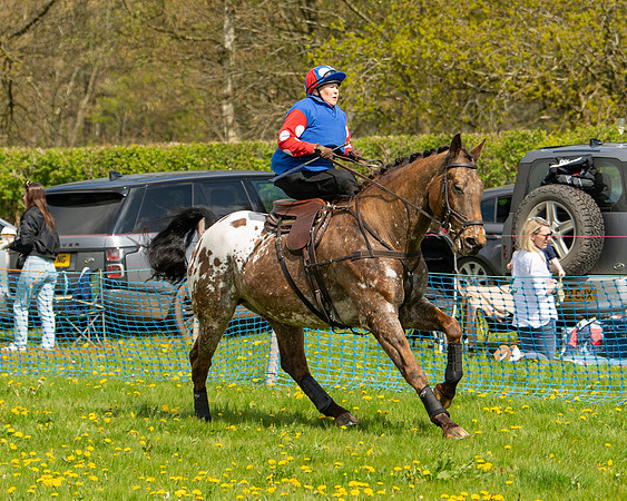 Ponies and Side saddle (64 of 69)