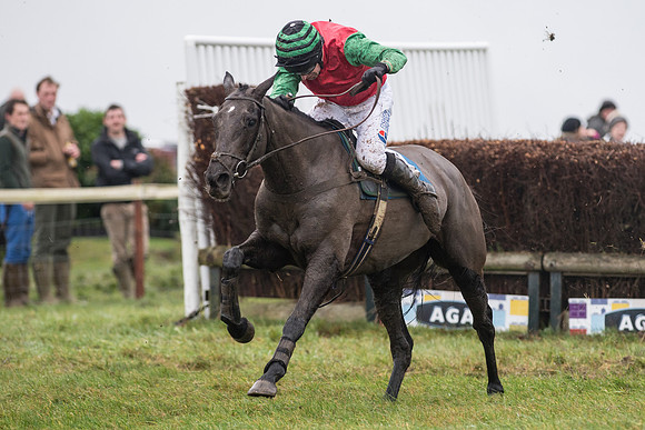 Race 5 - The Intermediate (53 of 59).jpg