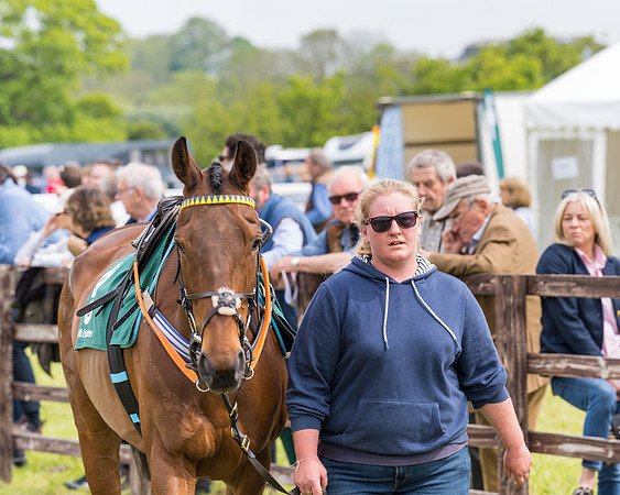 Race 2 - Owner-Trainer Conditions  (22 of 208)