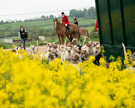 Hunt and Hounds (5 of 12)