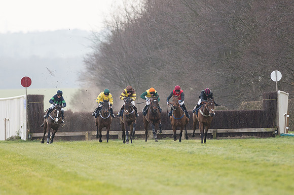 Race 6 Div 2 - Open Maiden  (85 of 131).jpg