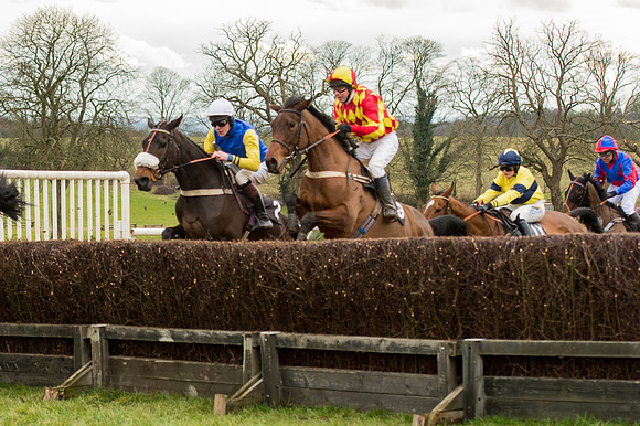 Race 5 - Open Maiden (20 of 38)-2.jpg