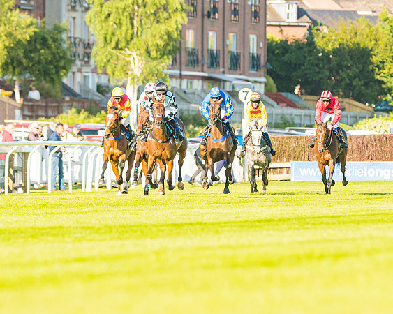 Race 3 - John Corbet Cup (57 of 127)