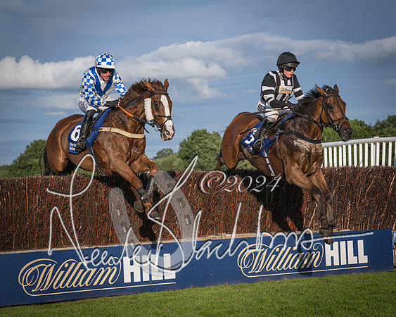 Race 4 - Peretemps Stratford Foxhunters (107 of 168)