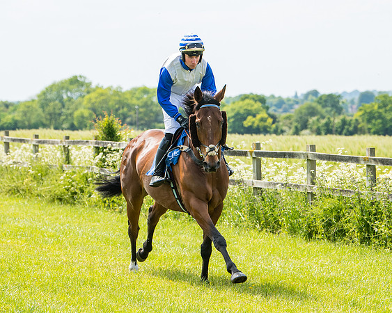 Race 2 - PPORA Novice Riders (148 of 444)