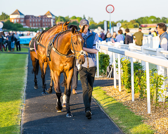 Race 7 - ITM NH Flat Race (1 of 197)