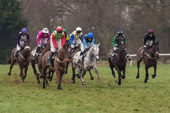 Race 6 - Open Maiden Div 2 (53 of 97).jpg