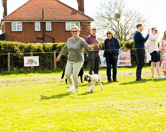 Dog show etc (77 of 157)