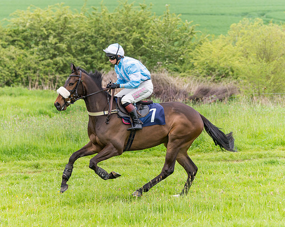 Race 6 - Maiden (5 of 129)