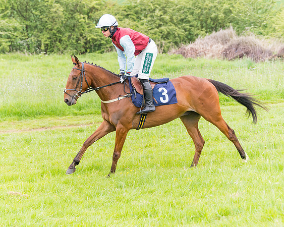 Race 6 - Maiden (17 of 129)