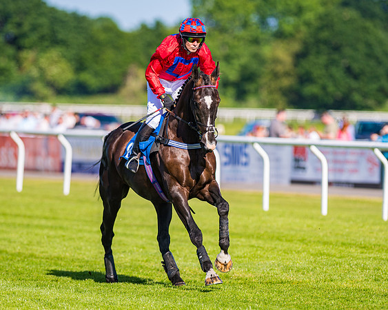Race 1 - JFF Open Hunter Steeple Chase 2m  (28 of 202)