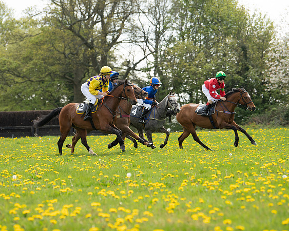 Ponies and Side saddle (9 of 69)