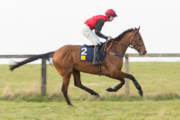 Race 6 Div 2 - Open Maiden  (40 of 131).jpg