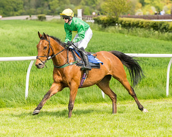 Race 2 - The Restricted Race  (46 of 122)