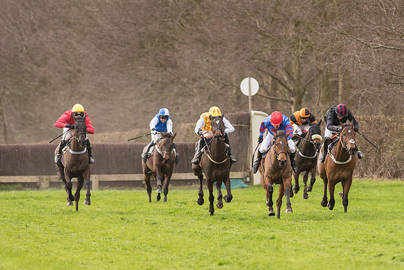 Race 2 - Young Horse Maiden (71 of 110).jpg