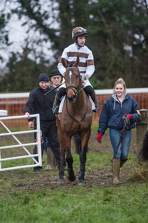Race 8 - Young Horse Maiden  (33 of 85).jpg