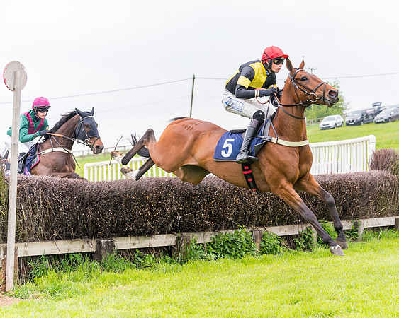 Race 2 - Five and Over restricted (46 of 136)