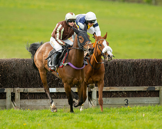 Race 5 - Open Maiden  (39 of 89)