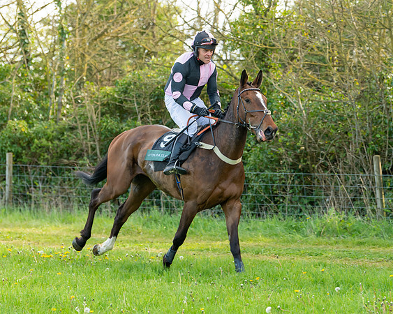 Race 7 - Maiden  (3 of 113)
