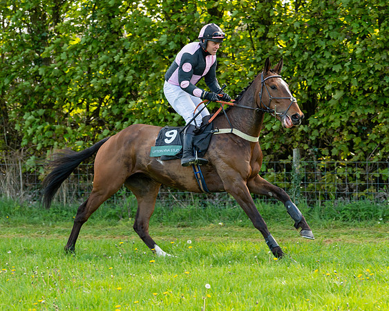 Race 7 - Maiden  (4 of 113)