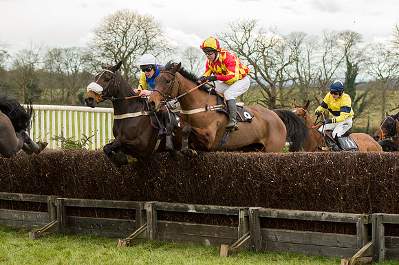 Race 5 - Open Maiden (22 of 38)-2.jpg