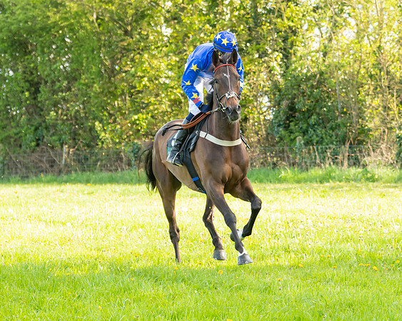 Race 7 - Maiden  (20 of 113)
