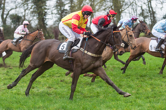 Race 8 - Young Horse Maiden  (54 of 85).jpg