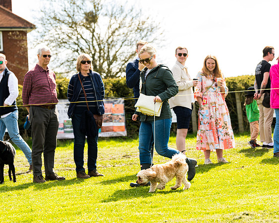 Dog show etc (82 of 157)