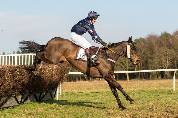 Race 5 - Restricted Race (47 of 64).jpg