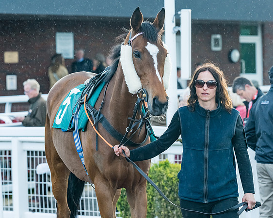 Race 5 - Mares Open  (17 of 329)