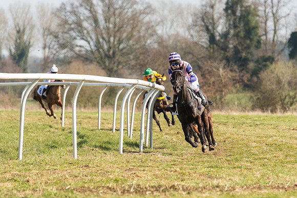 Pony Race 2 - 138 -  (8 of 28).jpg