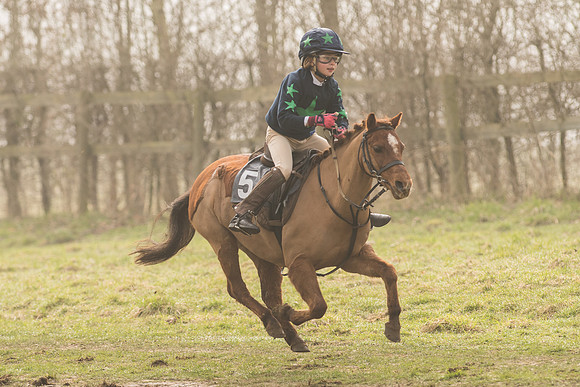 Pony Race 1 -  (24 of 31).jpg