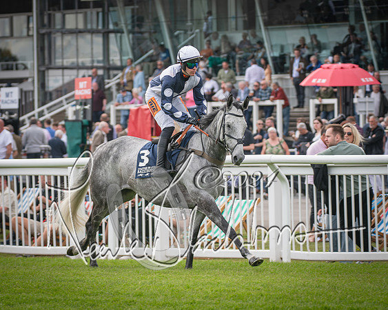 Race 1 - Pointing Pointers Restricted Final (15 of 79)