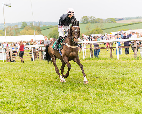 Race 2 - Owner-Trainer Conditions  (47 of 208)