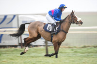 Race 3 - Ladies Open (14 of 97).jpg