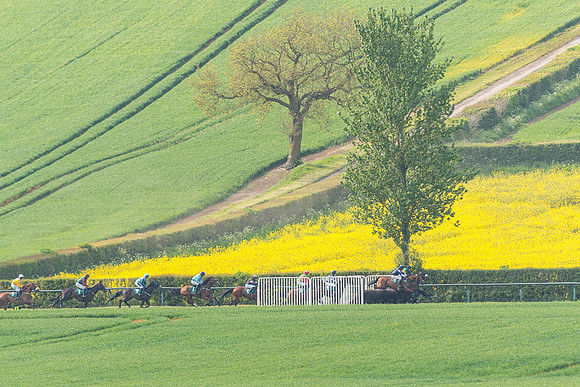Race 5 - Restricted  (53 of 164)