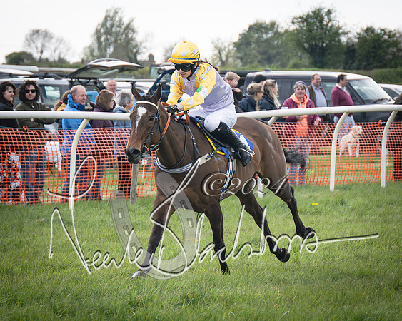 Pony Race 2 (71 of 84)-