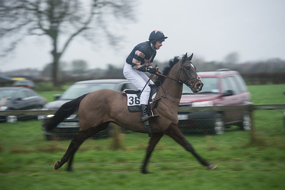 Race 7 - Open Maiden DIvision 2  (43 of 131).jpg
