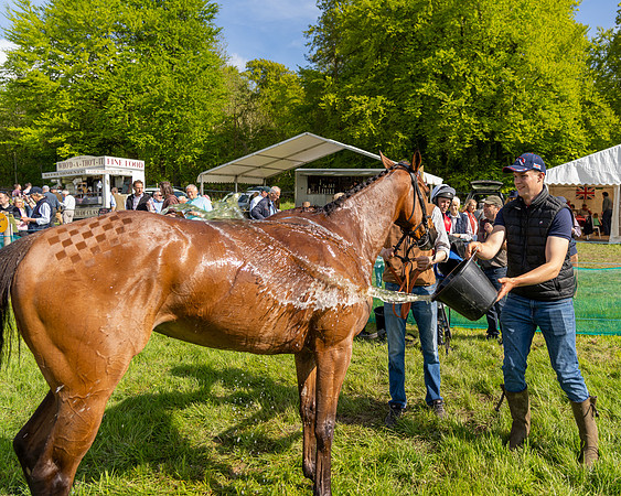 Race 5 - 2m5f Maiden (127 of 144)
