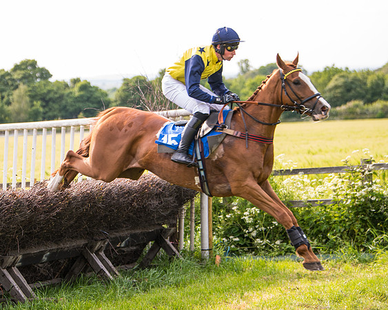 Race 6 - Open Maiden (142 of 346)