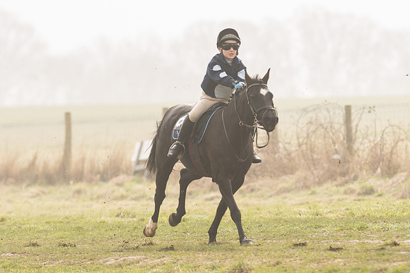 Pony Race 1 -  (14 of 31).jpg