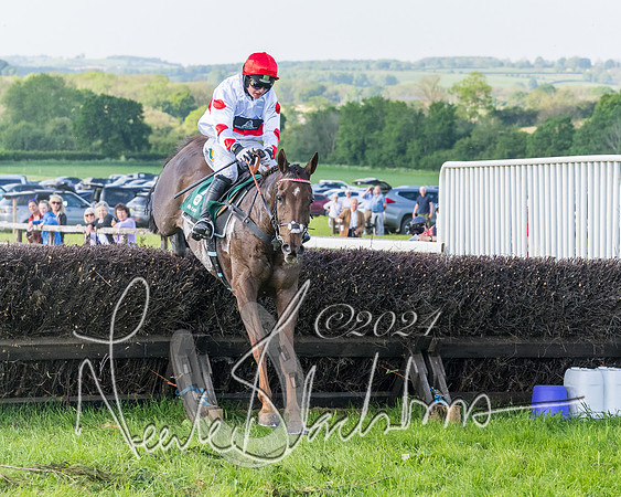 Race 7 - Veteran Horse (136 of 246)