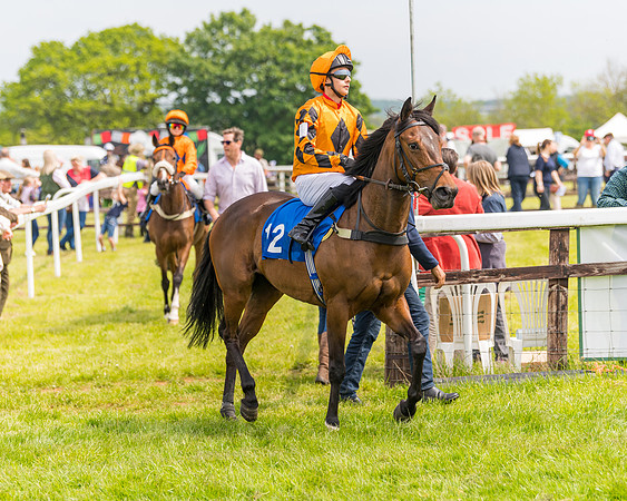 Pony Race 2 - 148cm (15 of 142)