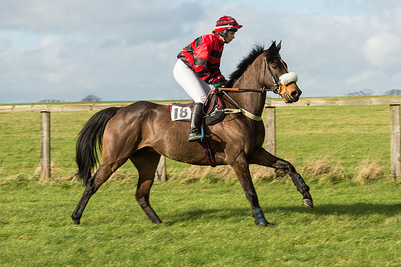 Race 3 - PPORA Members Novice Riders (18 of 84).jpg