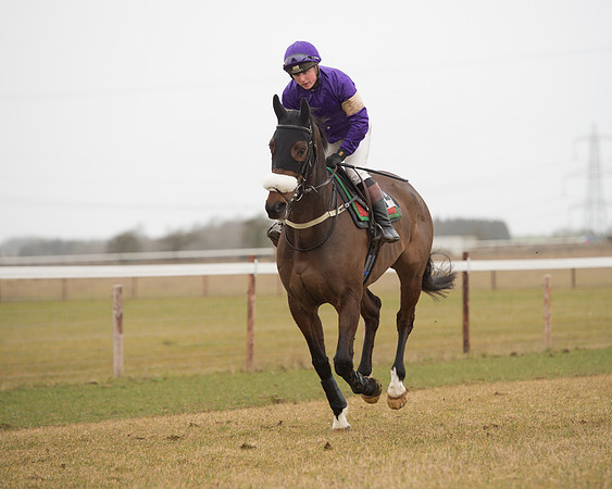 Race 6 - Open Maiden (37 of 120).jpg