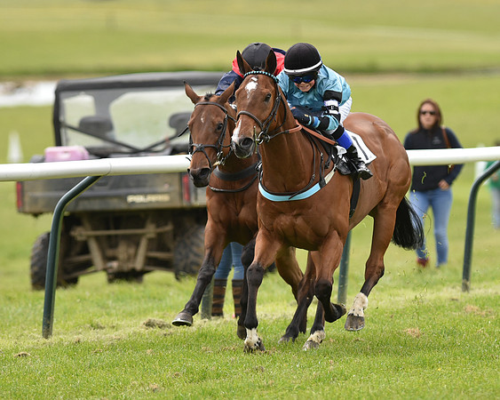 Pony Race - 3 (44 of 80).jpg
