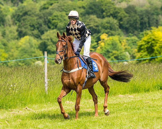 Race 2 - PPORA Novice Riders (174 of 444)