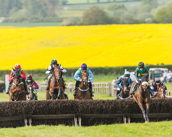 Race 5 - Restricted  (57 of 164)